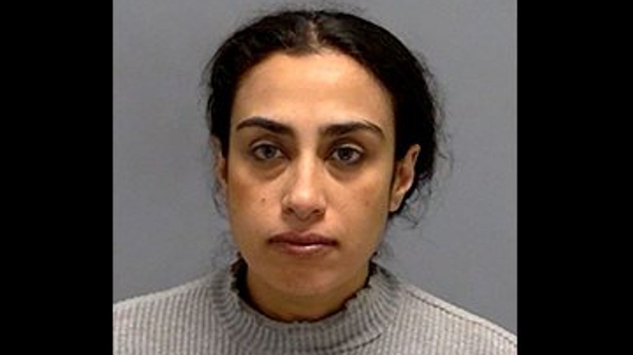 Indianapolis police say 'terrorist' drove her car into a building after mistaking it for a Jewish school: 'I'm just getting my anger out'