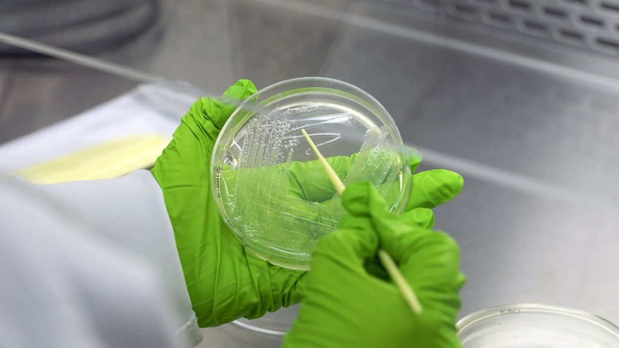 Is the medical establishment sabotaging the fight against chronic infections?