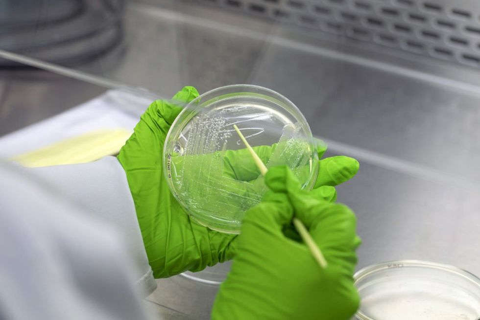 Is the medical establishment sabotaging the fight against chronic infections?