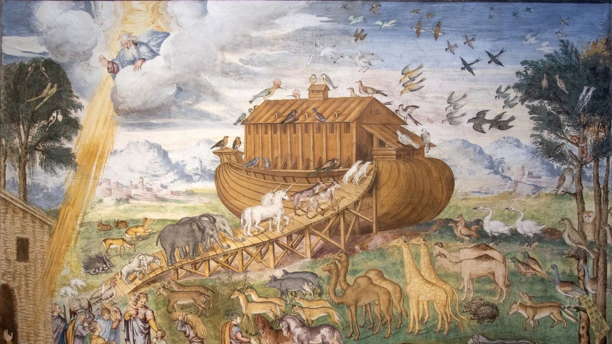 Is this Noah's ark? Clues emerge at mysterious remote site