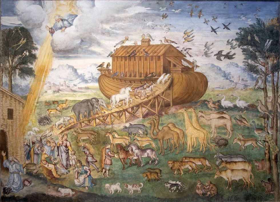 Is this Noah's ark? Clues emerge at mysterious remote site