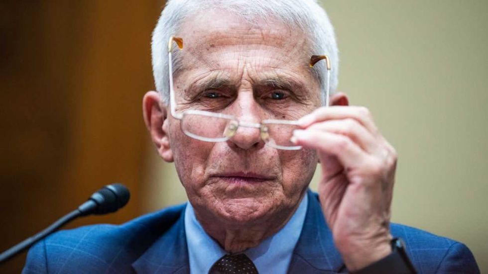 'It's past time': Florida launches investigation into Fauci