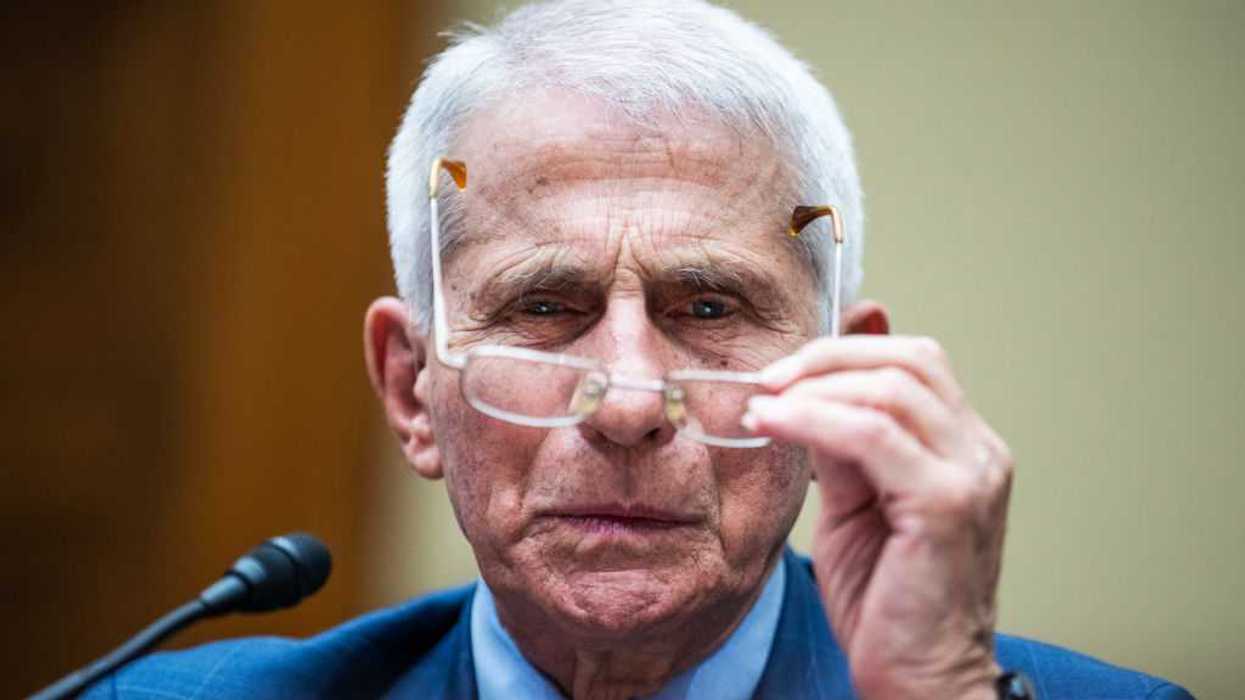 'It's past time': Florida launches investigation into Fauci