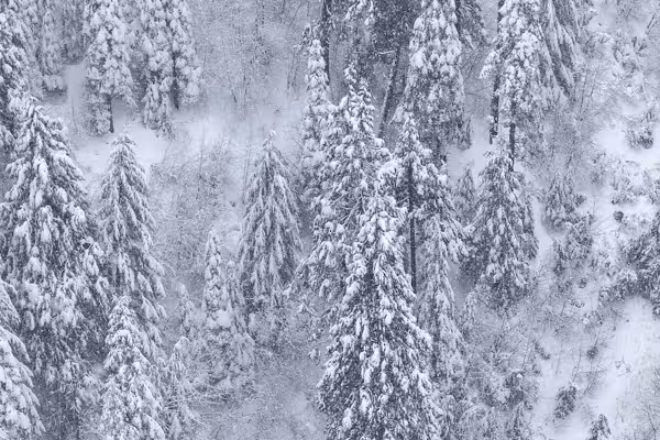 'It was me and God every night': Hunter was lost in the wilderness for nearly 3 weeks — until God told him 'let's go walking'