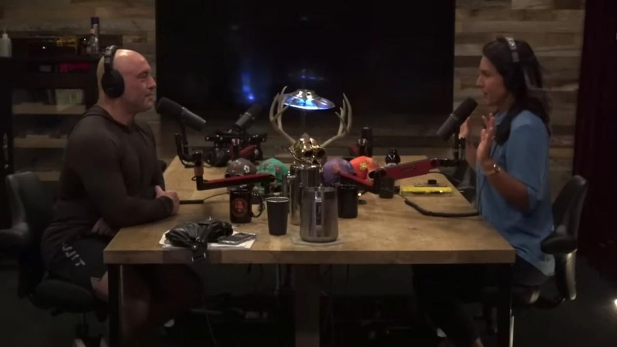 Joe Rogan and Tulsi Gabbard blast 'wokeism,' leftist 'hypocrisy,' and insane woke school 'litter box' story