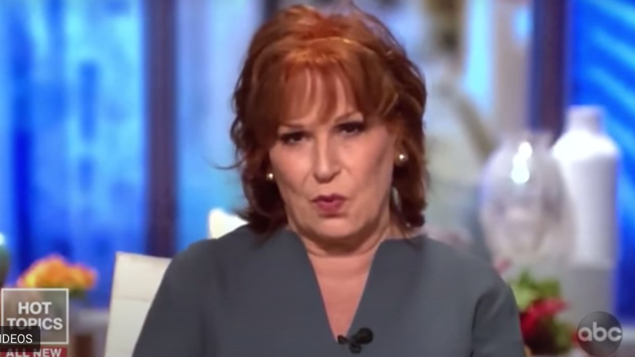 Joy Behar loses it and calls President Trump a 'domestic terrorist'