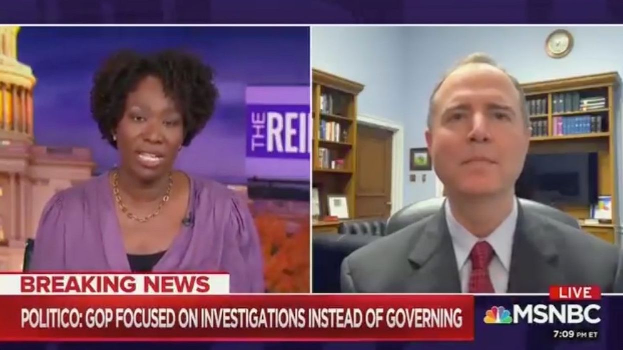 Joy Reid and Adam Schiff complain that Congress will be investigating instead of legislating under a President Biden: 'Tearing down our democracy'