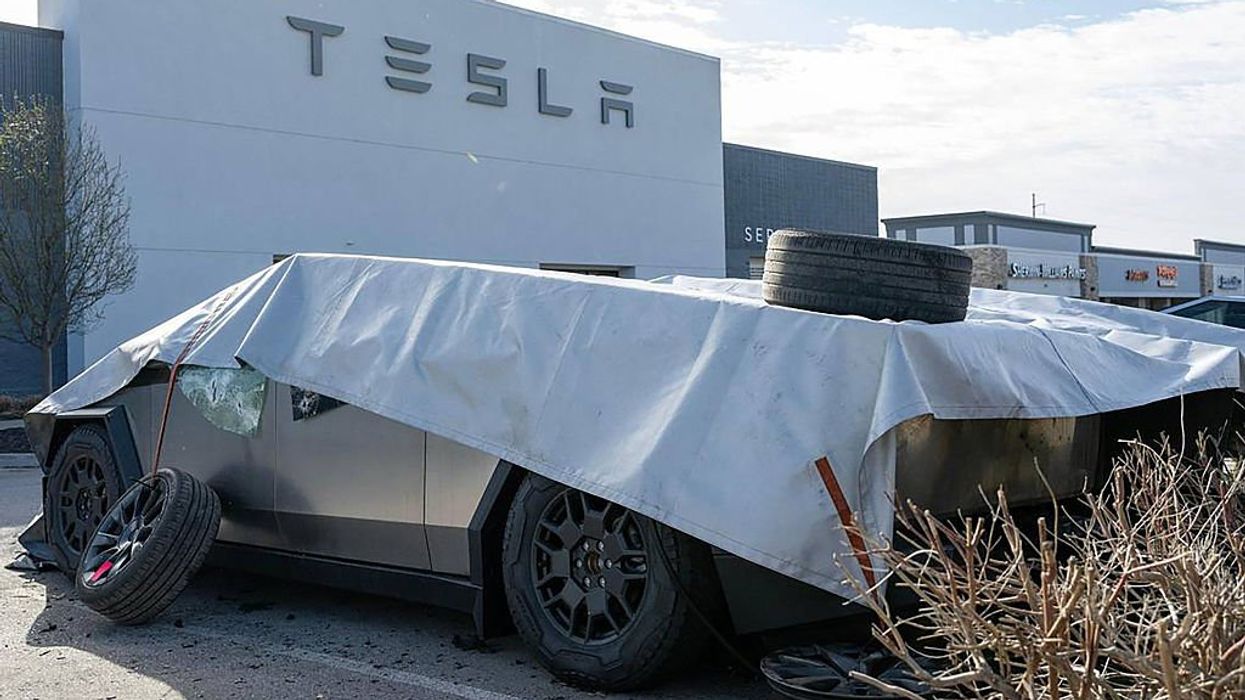 Judge orders release of UMass student accused of Tesla firebombing so he can continue sex change