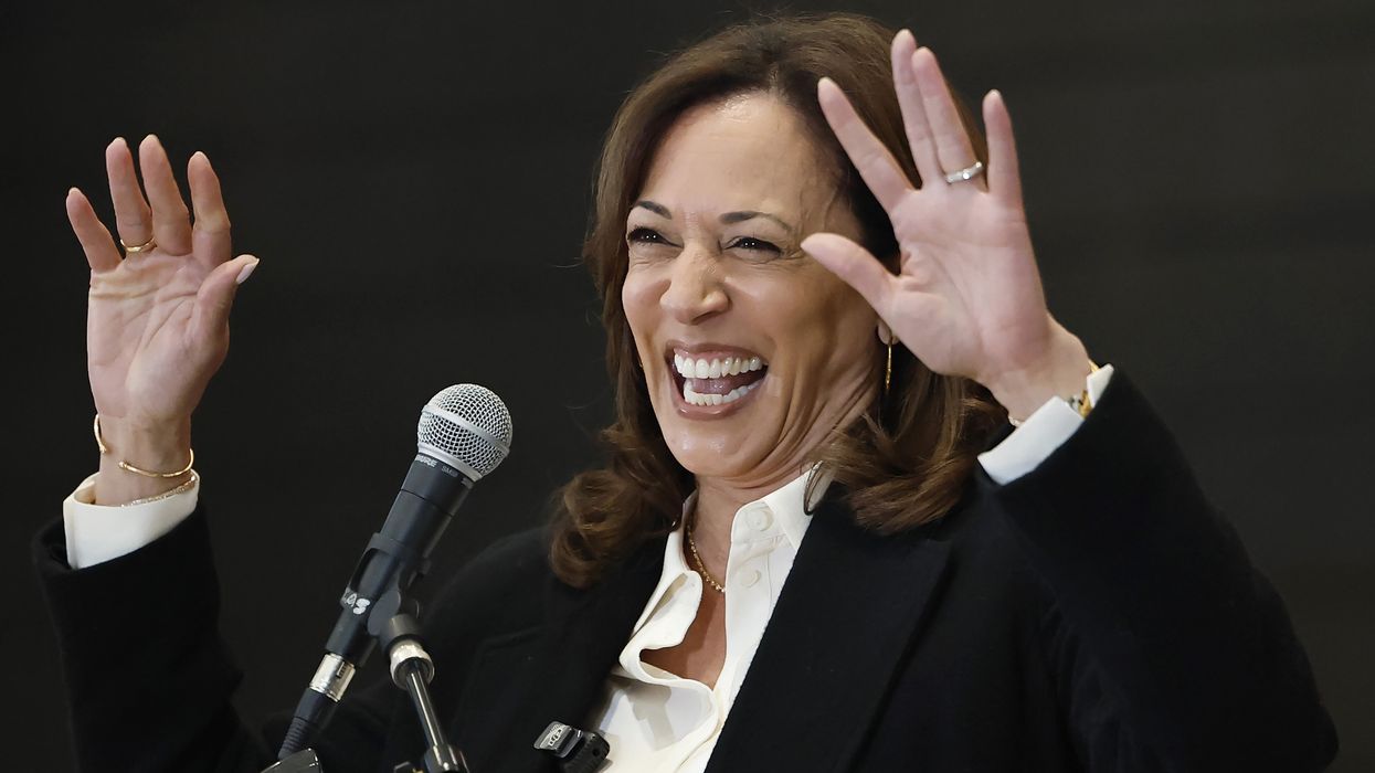 Kamala Harris reveals the real reason she avoided a gay running mate: 'It would be a real risk'