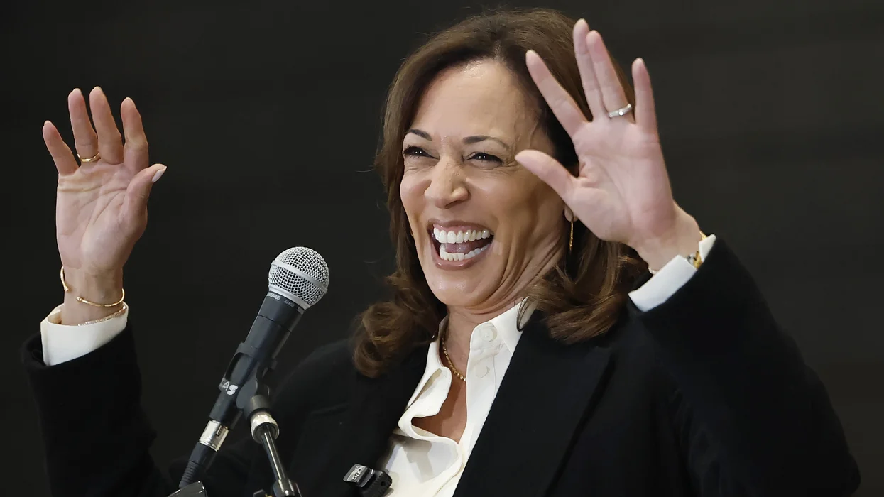 Kamala Harris reveals the real reason she avoided a gay running mate: 'It would be a real risk'