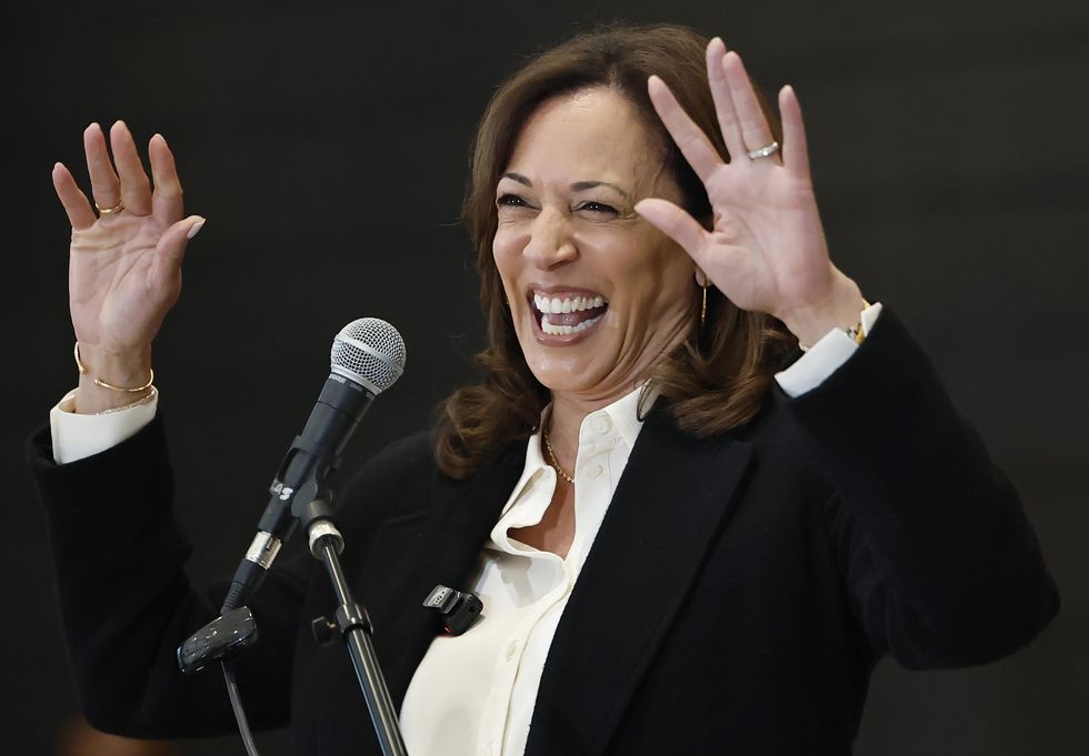 Kamala Harris reveals the real reason she avoided a gay running mate: 'It would be a real risk'