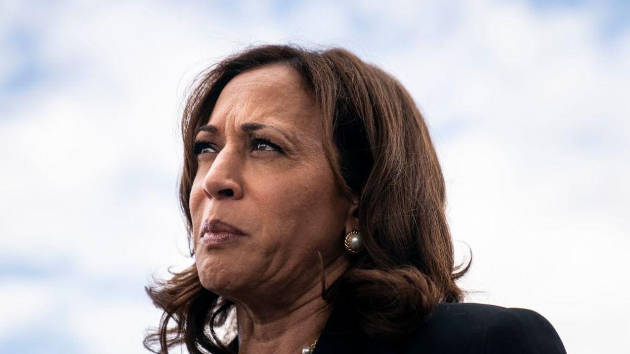 Kamala Harris tweets great news about the economy — gets immediately DESTROYED: 'You did that'