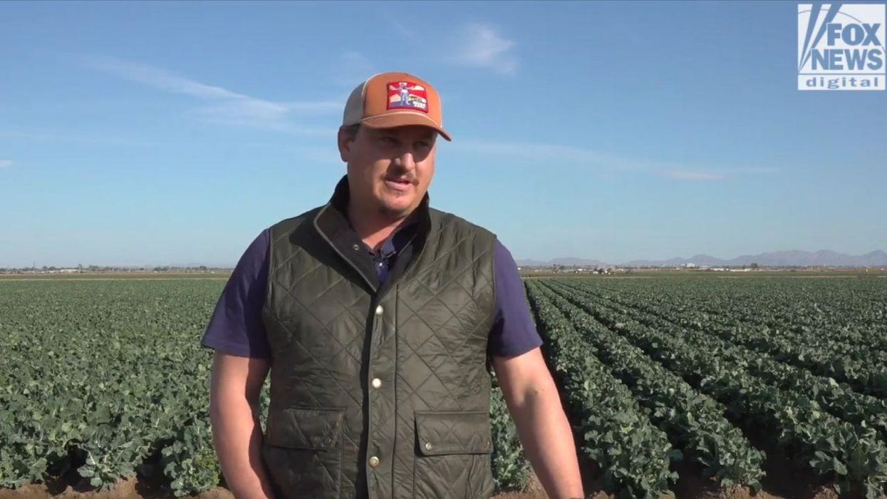 'Largest humanitarian disaster we've had in this country': Nation's food security in jeopardy after crops contaminated by migrants trespassing on farmland, farmers say