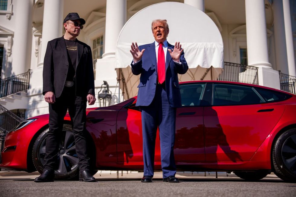 Leftists normalizing 'assassination culture' — majority view violence against Trump as justified: Report