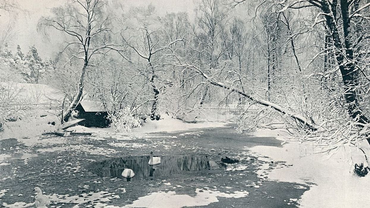 Lessons from the ice storm