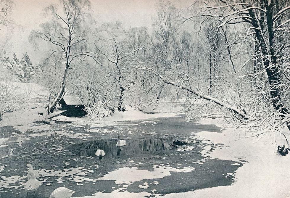Lessons from the ice storm
