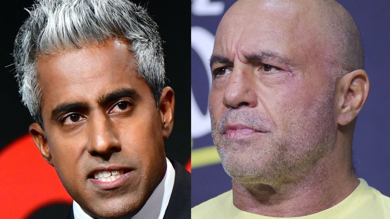 Liberals need feminist version of Joe Rogan to capture 'lost' males, says MSNBC guest