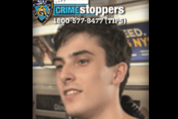 Male, 18, accused of placing fingers inside woman's private area on NYC subway train reportedly while she was with 4 children