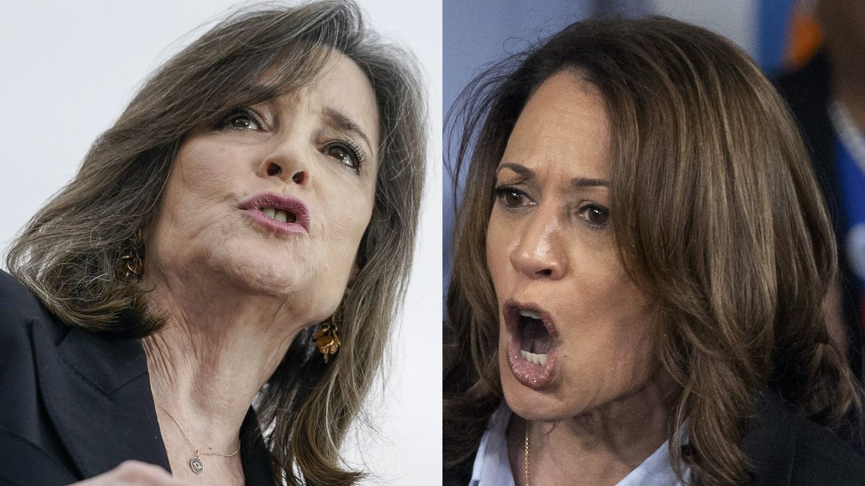 Marianne Williamson predicts 'eating cats issue' will hurt Dems in election: 'Haitian voodoo is real'