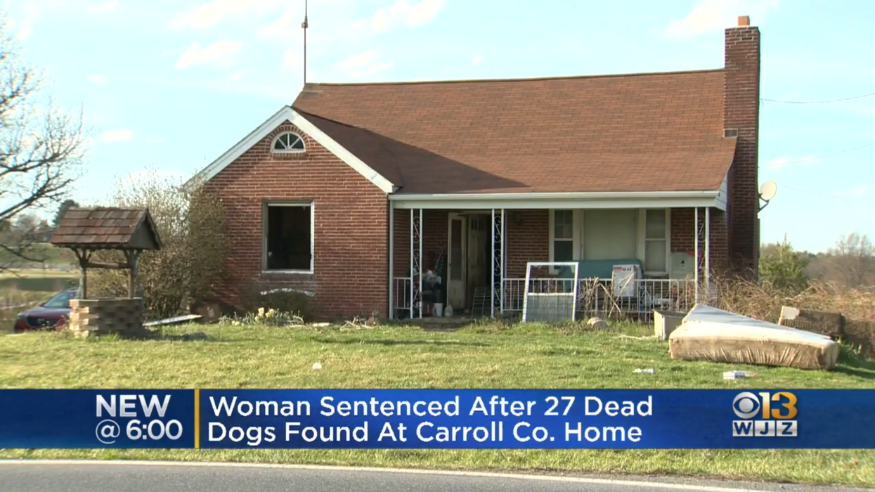 Maryland woman sentenced after cops find 27 dead dogs in her sewage-infested 'chamber of horrors'
