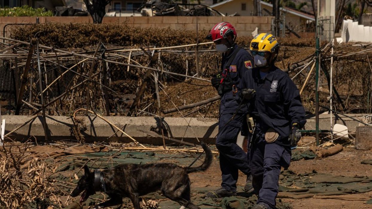 Maui's wildfire death toll officially 114, but locals running out of body bags reckon it's closer to 500, with thousands still missing