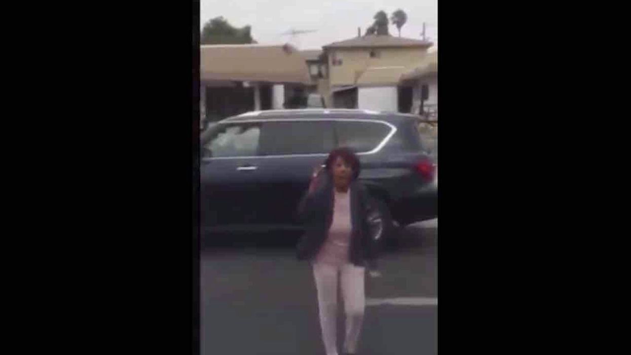 Maxine Waters spots black motorist being questioned by officers and begins 'yelling at deputies'