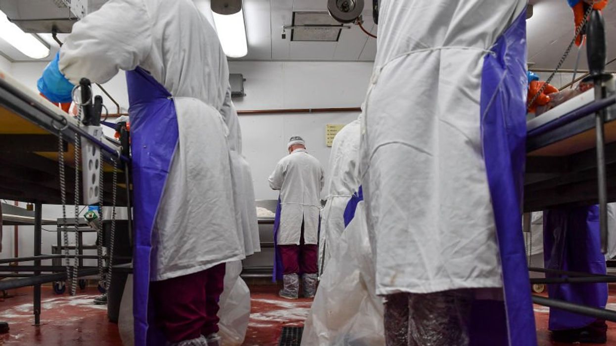 Meat packing plant hired 102 children for hazardous jobs, overnight shifts – fined $1.5 million for violating child labor laws