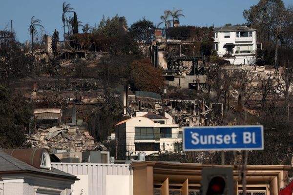 Meet the man who fought off the Los Angeles wildfires with a garden hose