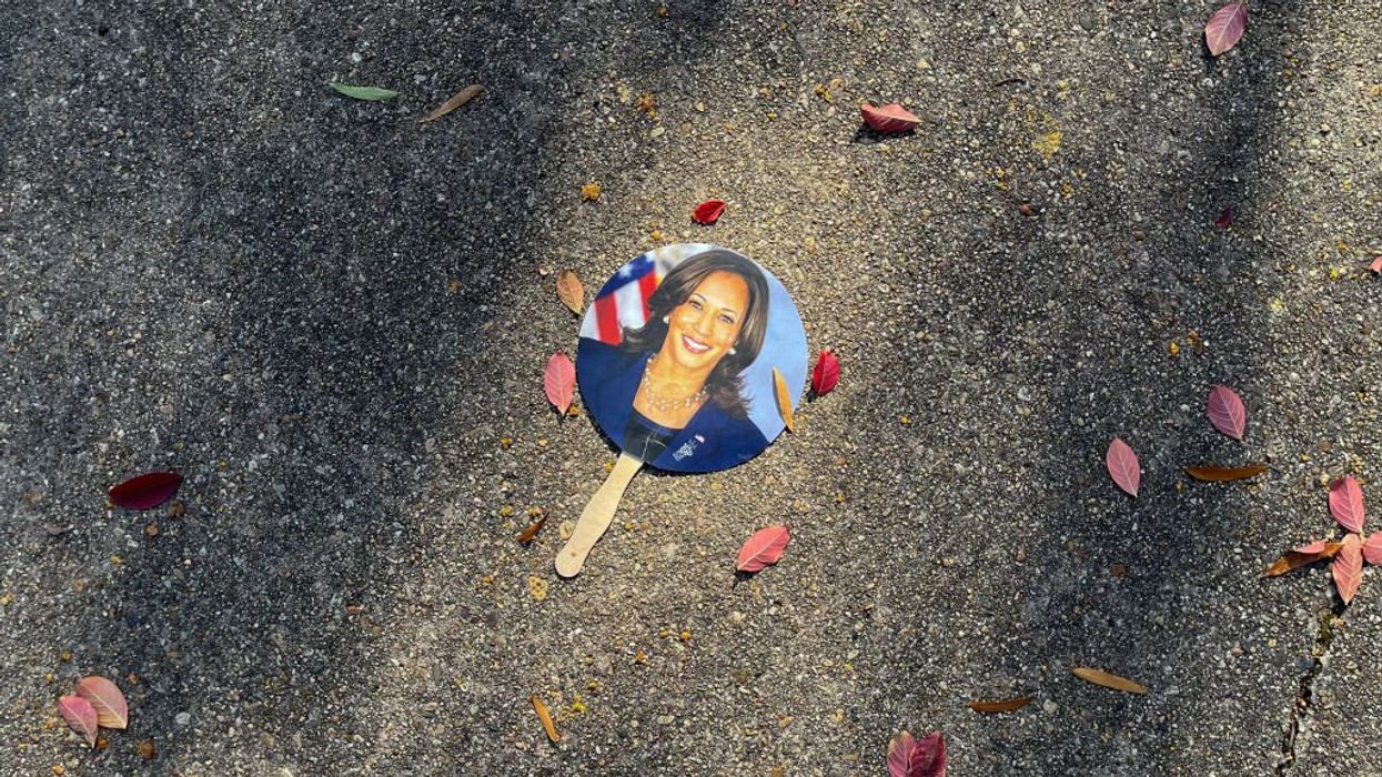 Michael Moore begs America: Vote for Kamala 'as a favor to me'