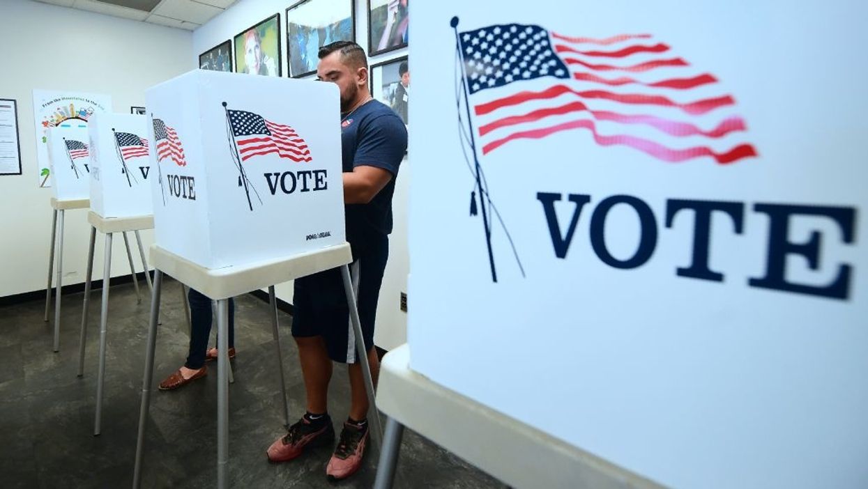 Michigan court rejects appeal for 'independent audit' of ballots over allegations of voter fraud