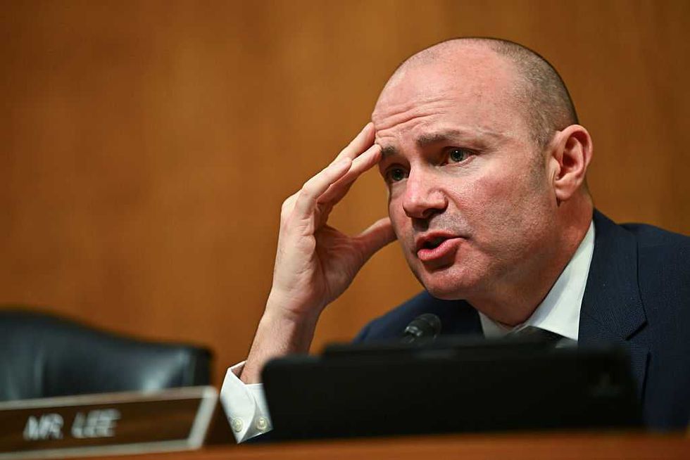 Mike Lee reveals the real victims of Somali fraud: 'It is not the rich people who suffer'