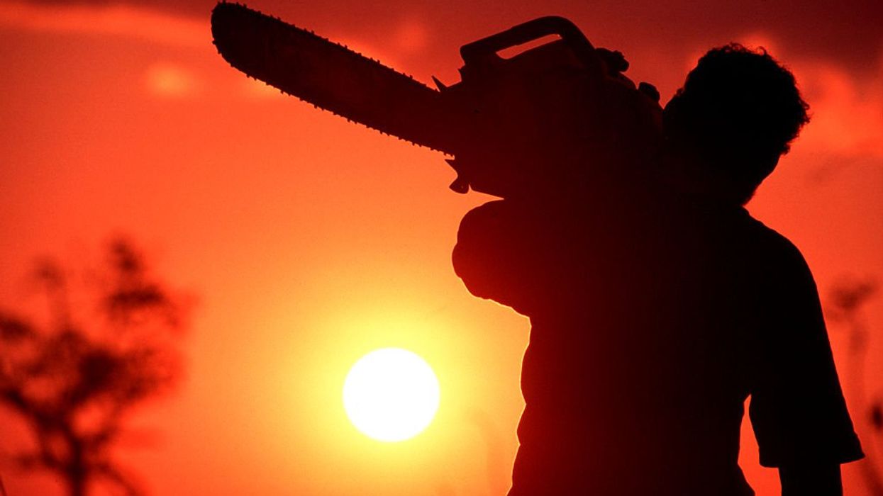 Miles of protected Amazon rainforest cleared for highway to UN climate summit