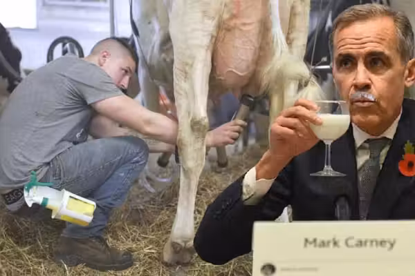 MILK MONEY: How Mark Carney chose the dairy cartel — and China — over a Trump trade deal