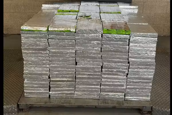 MILLIONS worth of METH seized in leek shipment at US-Mexico border, CBP says