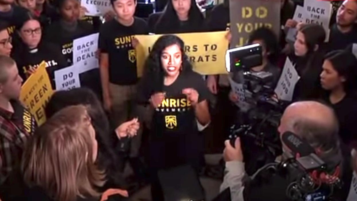 Minority members accuse left-wing climate activist group of racism and tokenization