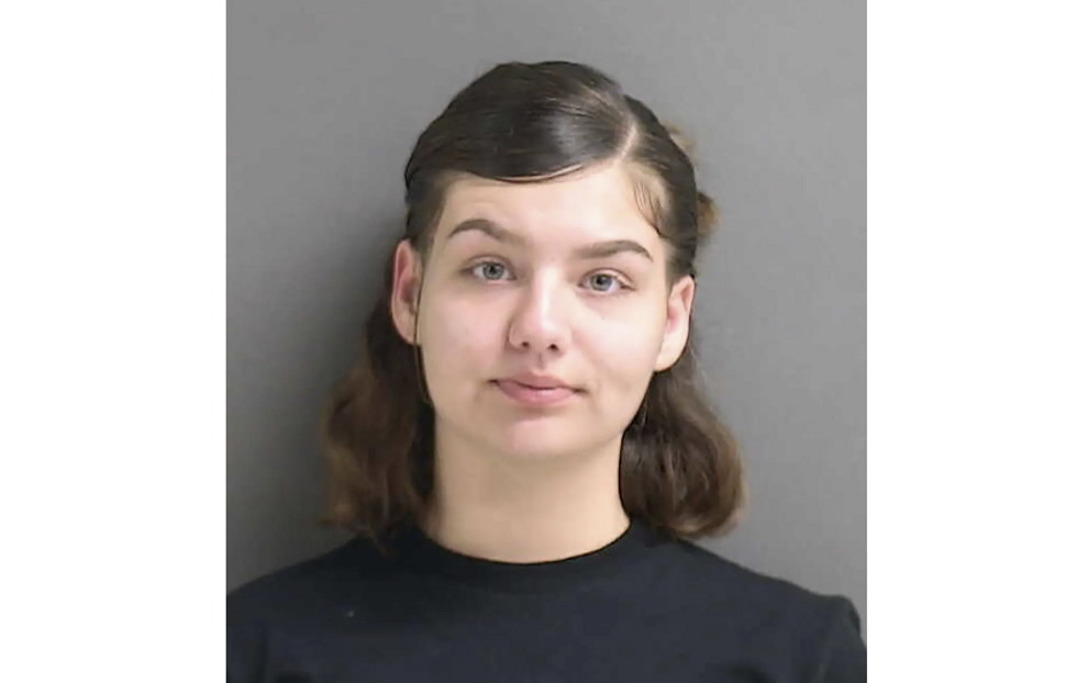 'Mistress' uses gun of 'sugar daddy' to shoot up car with Florida man's girlfriend and baby: Police
