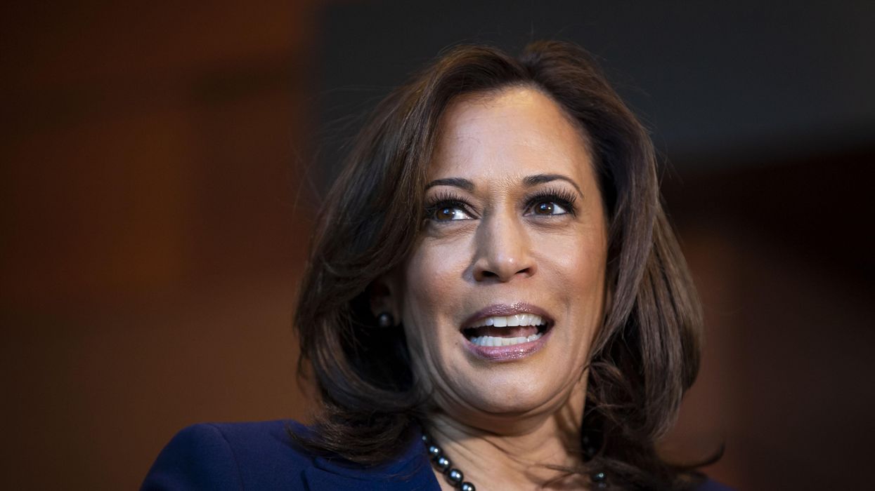 MLK Jr's niece slams Kamala Harris for reportedly plagiarizing civil rights icon: 'There she is, playing on those emotions again'