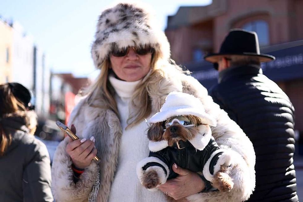 Modern pet ownership is a mental illness