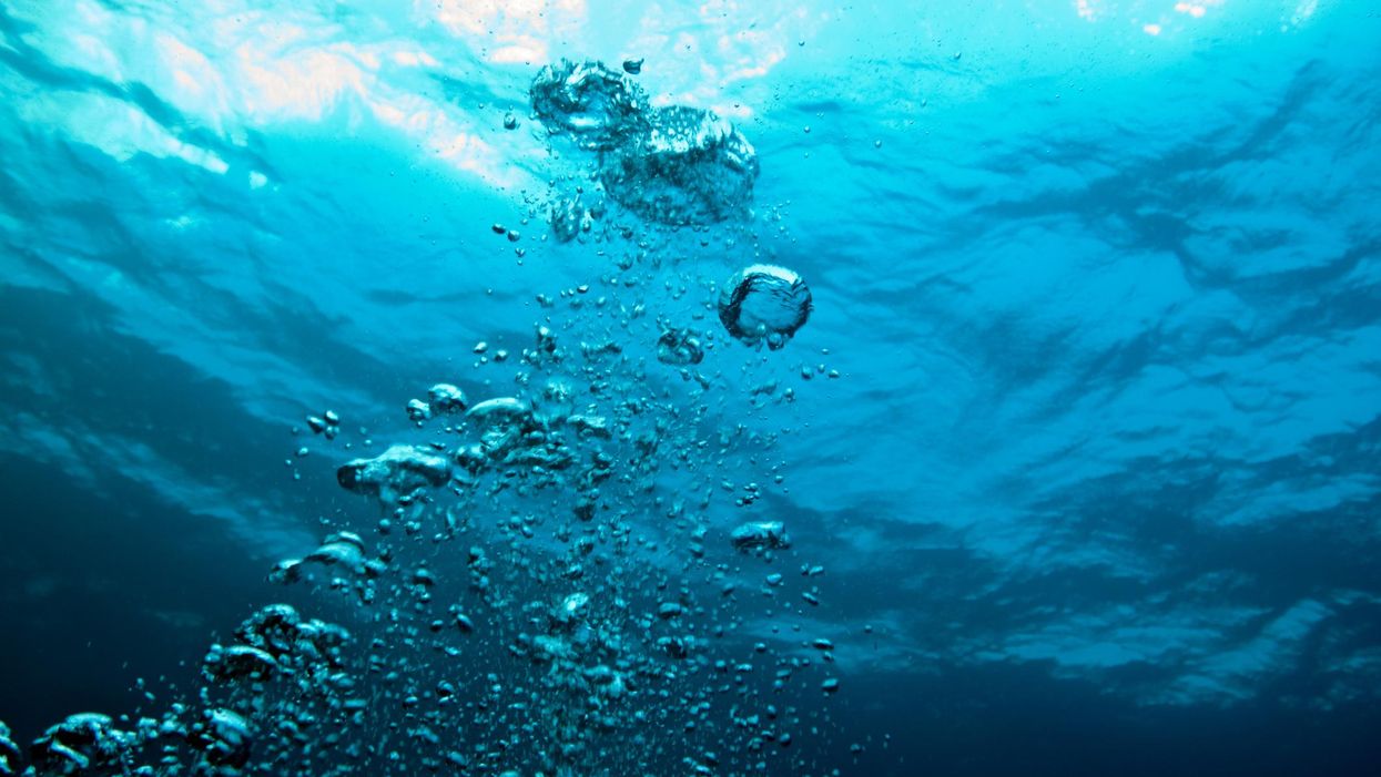 Mother kills her 3 children, self after husband commits suicide