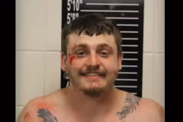 Motorist whose middle name is 'Thor' exits car, dives over side of bridge amid police chase — but wild tale doesn't end there