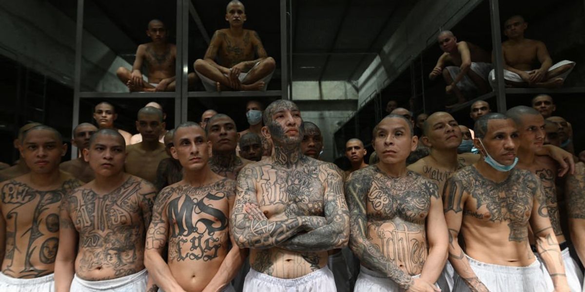 ‘MS-13 clique’: ABC News blasted for downplaying violent gang ‘MS-13 clique’: ABC News blasted for downplaying violent gang