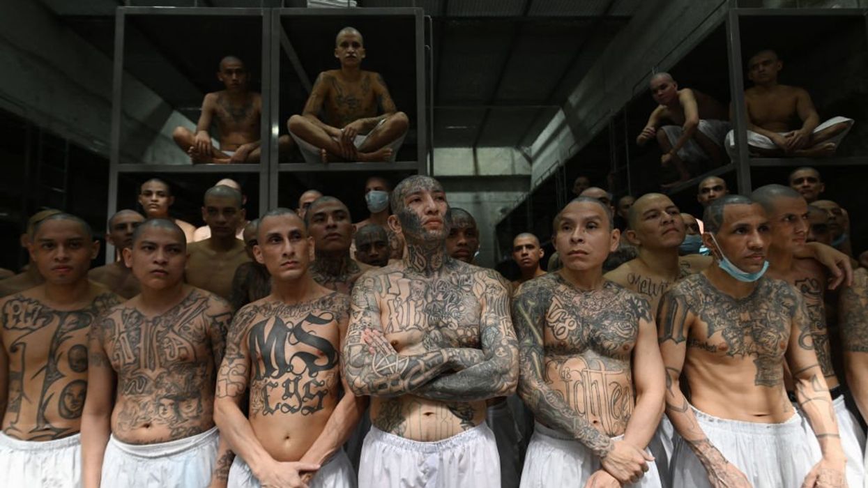 'MS-13 clique': ABC News blasted for downplaying violent gang