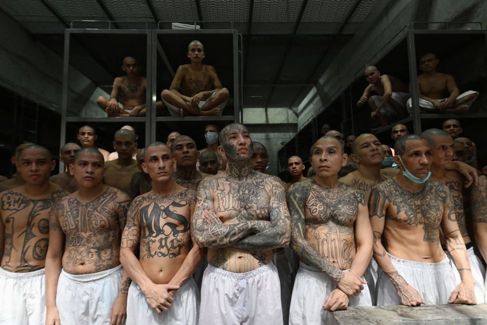 'MS-13 clique': ABC News blasted for downplaying violent gang