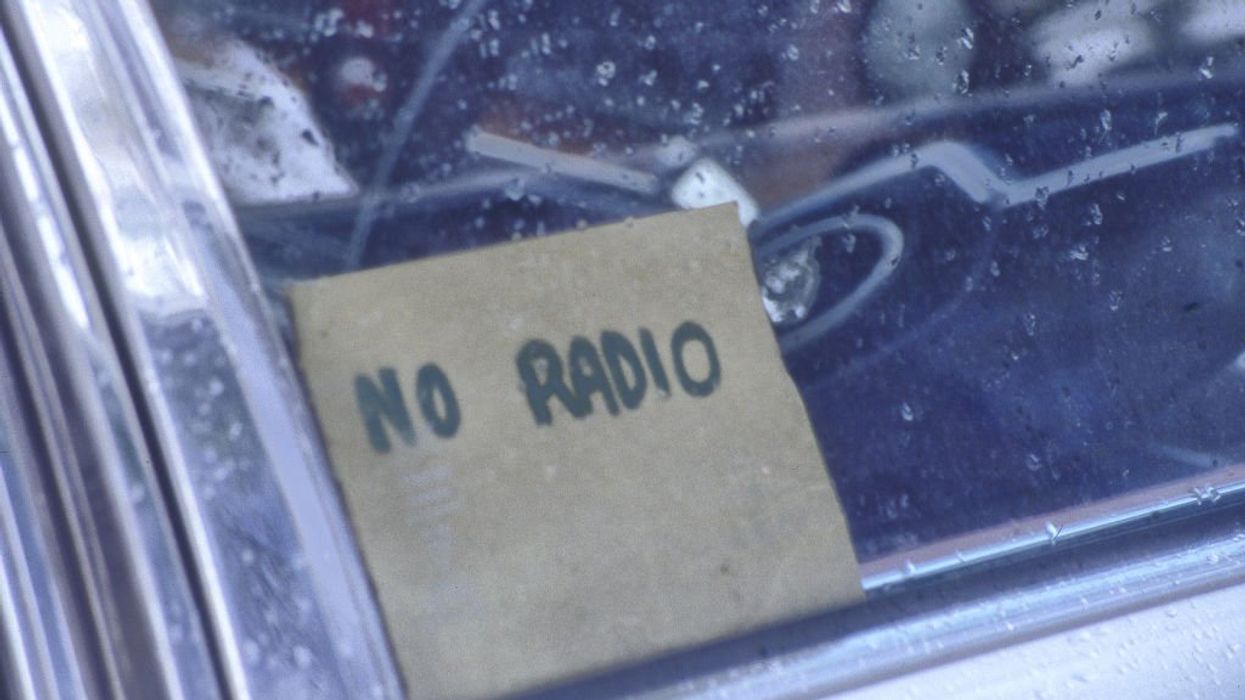 Musk-hating Tesla drivers go full irony to avoid backlash