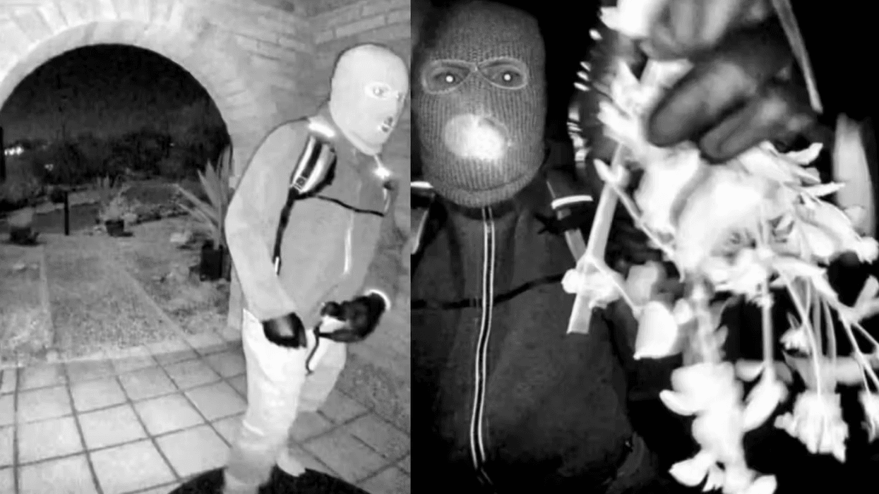 Nancy Guthrie investigators have new lead relating to suspect seen in terrifying doorbell video