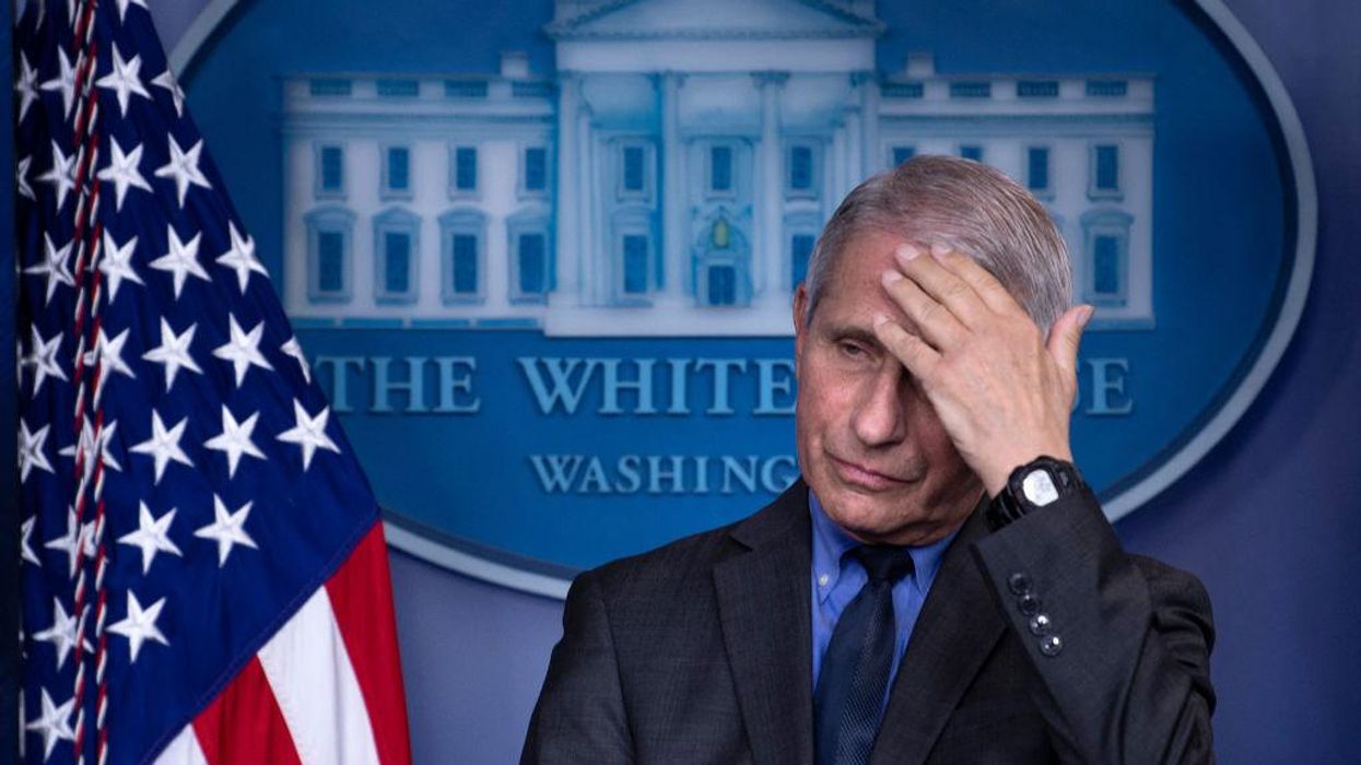 Nat Geo's flowery Fauci documentary is getting absolutely torched online: 'Pure garbage,' 'Worst doc ever,' 'This man belongs in prison'