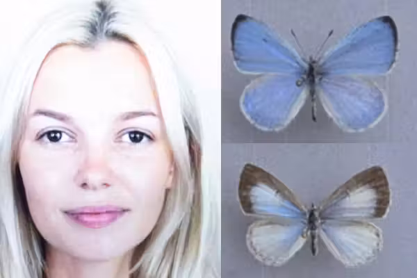 New butterfly species named in honor of Ukrainian woman brutally murdered on Charlotte light rail