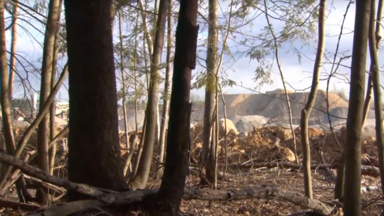 New Hampshire ‘gender reveal’ party features explosion so vast it shook homes across several towns