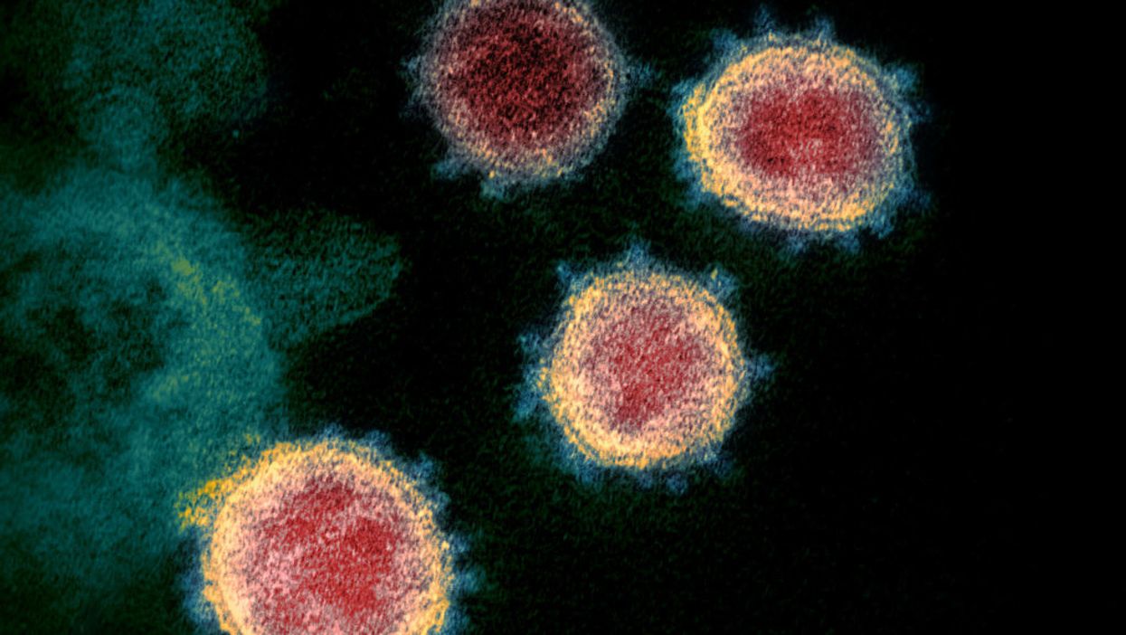 New study suggests immunity to coronavirus may last years — even decades — after infection