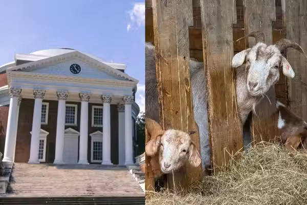 No kidding: 'Ecofeminist' course at UVA has students consulting goats and lichen about oppression